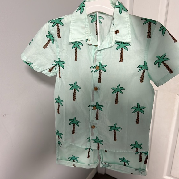 Toddler boys, H&M outfit size 4T color mint with palm trees - Picture 4 of 4